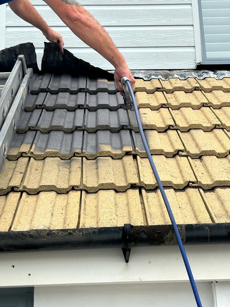 roof spray painting services