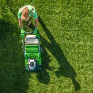 push along lawn mowing